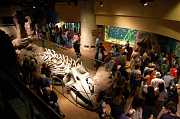 GA Aquarium 0002_1